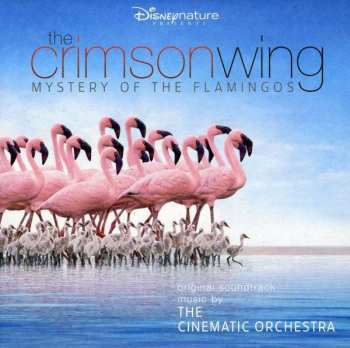 Album The Cinematic Orchestra: Les Ailes Pourpres: Le Mystère Des Flamants