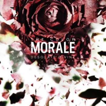 LP The Color Morale: Desolate Divine