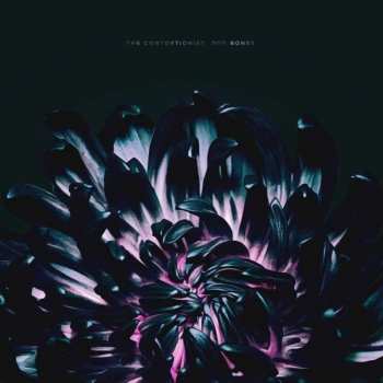 Album The Contortionist: Our Bones