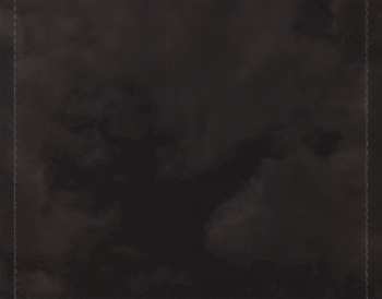 2CD The Courteeners: Concrete Love Extra Love DLX