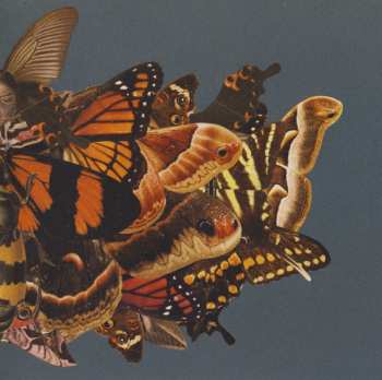 CD The Courteeners: More. Again. Forever. 