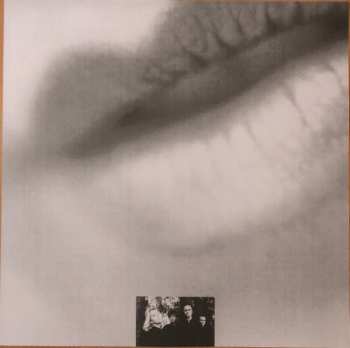 LP The Darling Buds: Erotica CLR | LTD | NUM