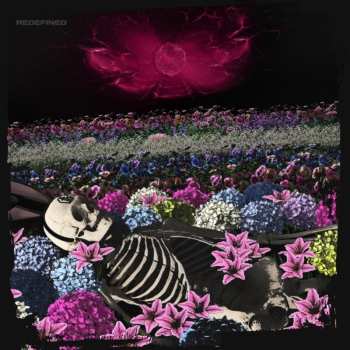 CD The Dead Rabbitts: Redefined