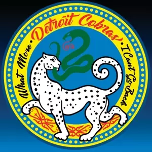 The Detroit Cobras: What More b/w I Can't Go Back