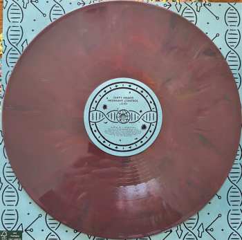 4LP/Dobozkészlet The Dirty Heads: Midnight Control DLX | CLR