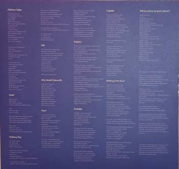 LP The Districts: Popular Manipulations