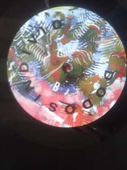 LP The Dodos: Individ