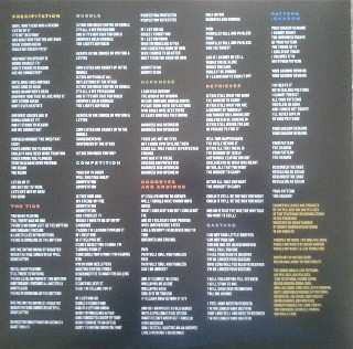 LP The Dodos: Individ