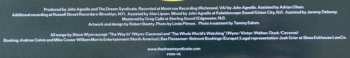 LP The Dream Syndicate: These Times