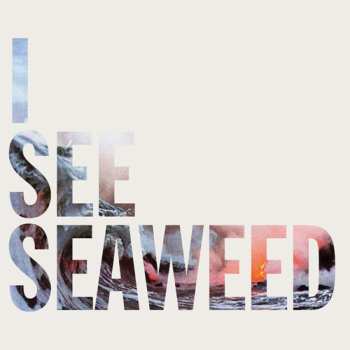 Album The Drones: I See Seaweed