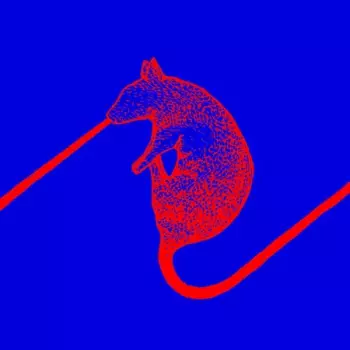 Rats Don't Eat Synthesizers