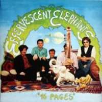 Album The Effervescent Elephants: 16 Pages