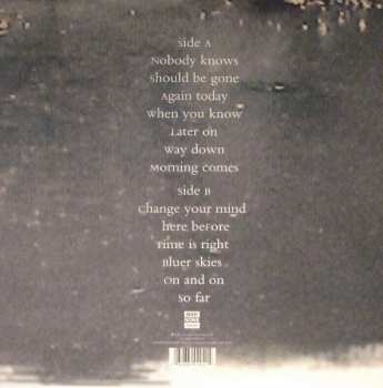 LP The Feelies: Here Before