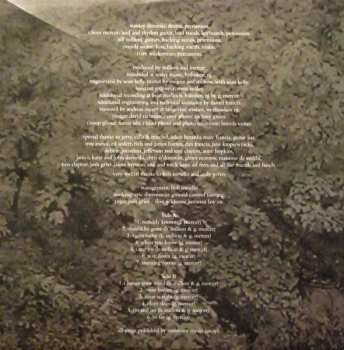 LP The Feelies: Here Before