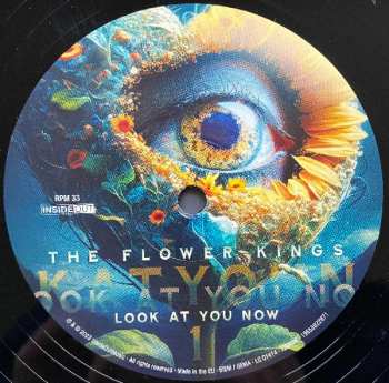 2LP The Flower Kings: Look At You Now LTD