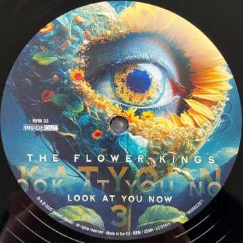 2LP The Flower Kings: Look At You Now LTD
