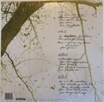 2LP The Glands: The Glands CLR | LTD