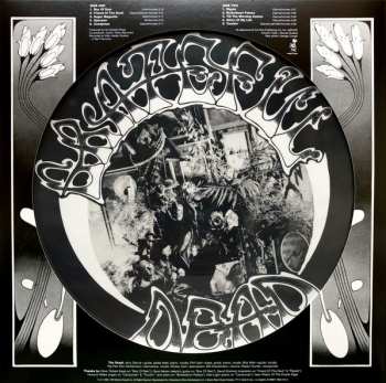 LP The Grateful Dead: American Beauty LTD | PIC