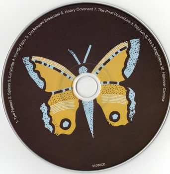 CD The Hold Steady: Open Door Policy