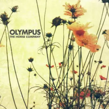 The Horse Company: Olympus