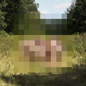 Album The Hotelier: Goodness