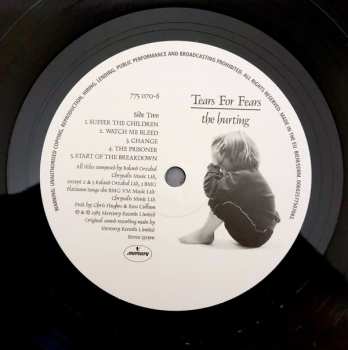 LP Tears For Fears: The Hurting