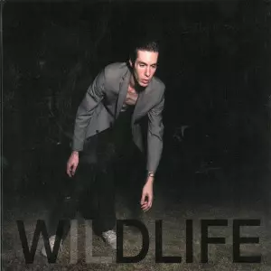 The Icarus Line: Wildlife