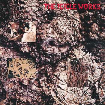 5CD/Dobozkészlet The Icicle Works: 5 Albums