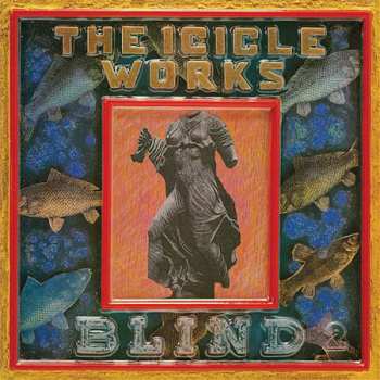 5CD/Dobozkészlet The Icicle Works: 5 Albums