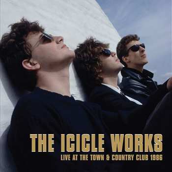 5CD/Dobozkészlet The Icicle Works: 5 Albums