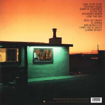 LP The Jayhawks: Back Roads And Abandoned Motels
