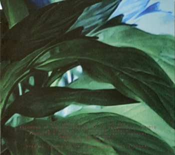 CD The KVB: Out Of Body