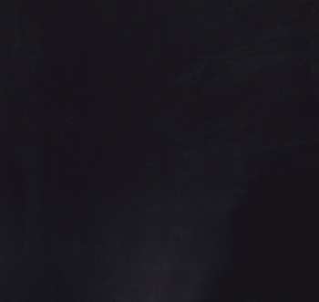 CD The Last Shadow Puppets: Everything You've Come To Expect DLX | LTD