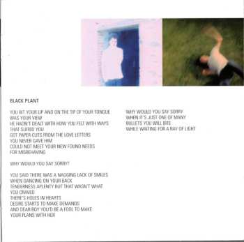 CD The Last Shadow Puppets: The Age Of The Understatement