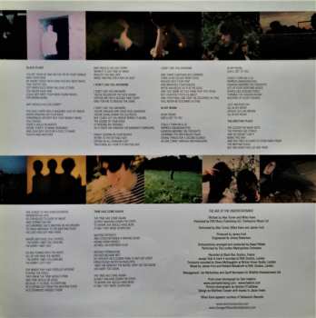 LP The Last Shadow Puppets: The Age Of The Understatement