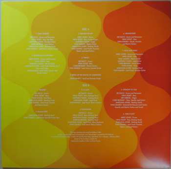 LP The Lemonheads: Varshons II CLR | LTD