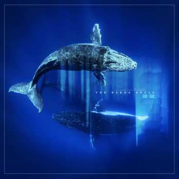Album Reverb From The Depths