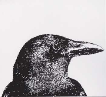 CD The National: Sad Songs For Dirty Lovers