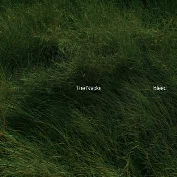 Album The Necks: Bleed