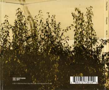 3CD The Necks: Disquiet