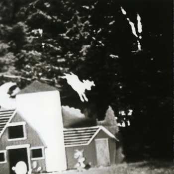 CD The Nels Cline Singers: Instrumentals