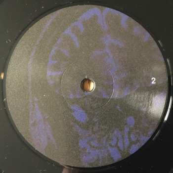 LP The Nightingales: Mind Over Matter