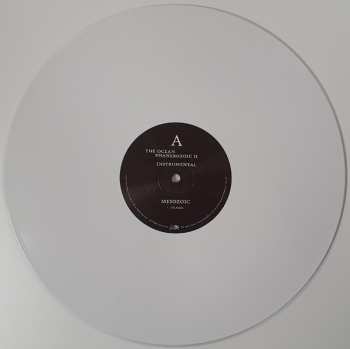 2LP The Ocean: Phanerozoic II: Mesozoic | Cenozoic (Instrumental) CLR