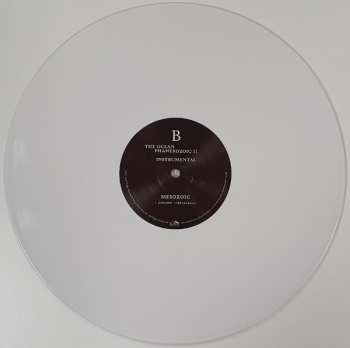 2LP The Ocean: Phanerozoic II: Mesozoic | Cenozoic (Instrumental) CLR