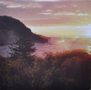 Album The Ocean Party: Beauty Point
