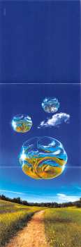 CD The Orb: Metallic Spheres In Colour
