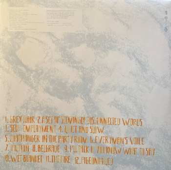 LP The Patriotic Sunday: Actual Fiction