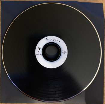 CD The Pop Group: Y In Dub