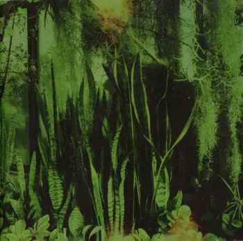 The Promise Ring: Wood/Water