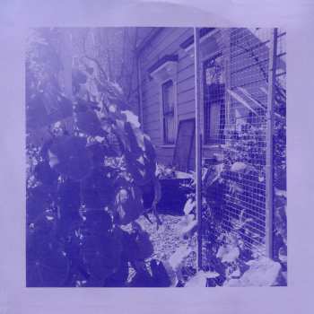 LP The Reds, Pinks And Purples: Anxiety Art LTD | CLR